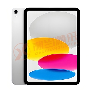 苹果 ipad 10(22款) 10.9英寸 WiFi版